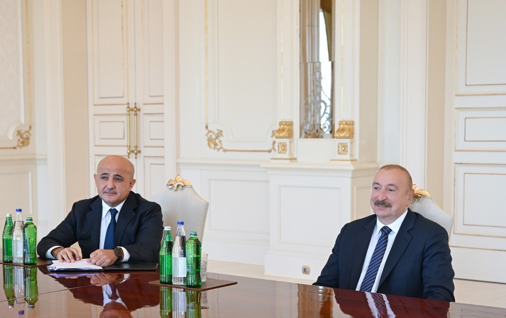 Qlobal investisiya nəhənginin rəhbəri Prezidentin qəbulunda - GÖRÜNTÜ