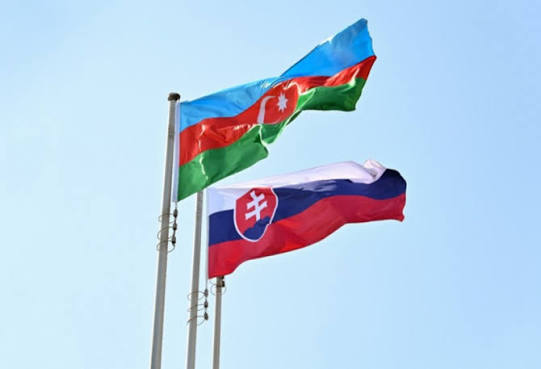 Azərbaycanla Slovakiya məxfi məlumat mübadiləsi aparacaq