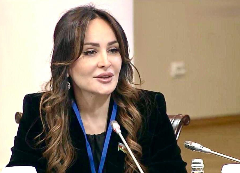Güc amili bütün təxribatların qarşısını əvvəlcədən almaq məqsədi daşıyır