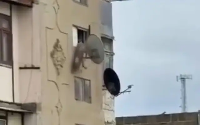 Bakıda iti binadan atan kişi həbs olundu