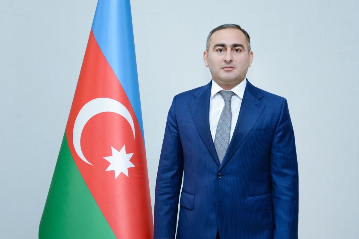 Dövlət Statistika Komitəsinə sədr müavini təyin edilib