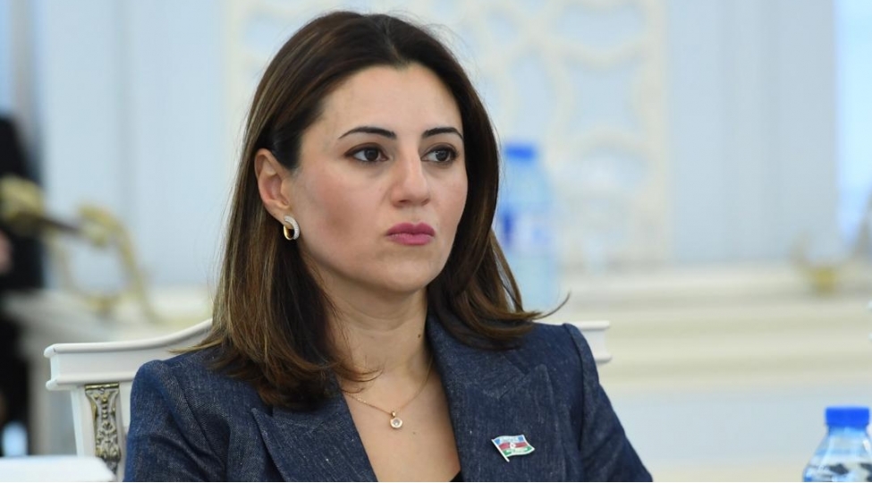 Azərbaycan və Mərkəzi Asiya: regional əməkdaşlığın yeni arxitekturası