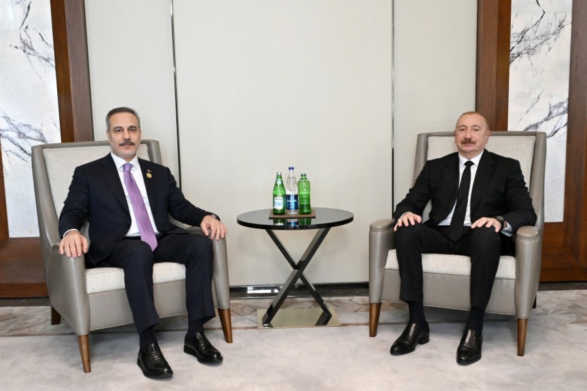 İlham Əliyev Hakan Fidanı qəbul edib