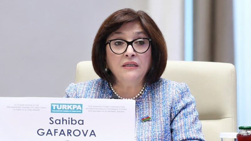 Sahibə Qafarova TÜRKPA-nın plenar iclasında çıxış edib