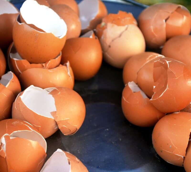 Ən çətin ləkələri yumurta qabıqları ilə çıxartmaq olar - RESEPT