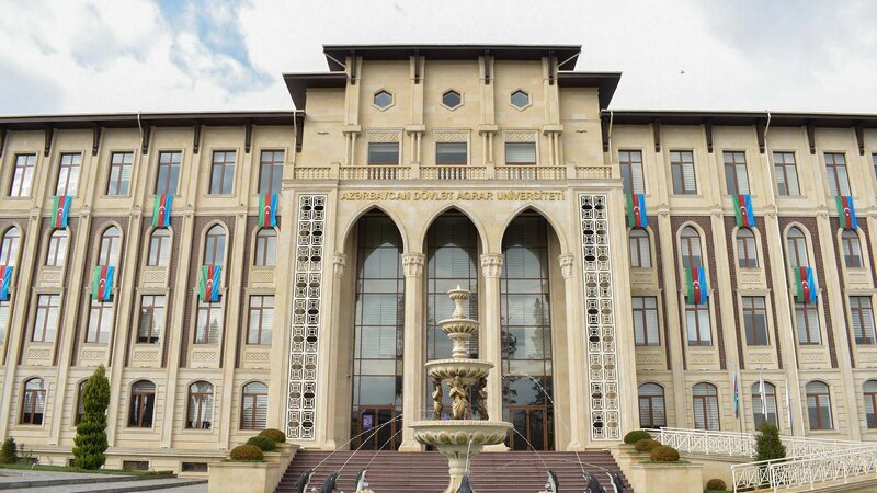 ADAU-da müəllimlərin kütləvi ixtisarı aparıldı